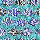 Brandon Mably - KFC AUGUST 2025 - Minnows, Aqua PWBM100.AQUA