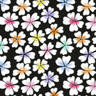 Brandon Mably - KFC February 2024 - Petals, Black