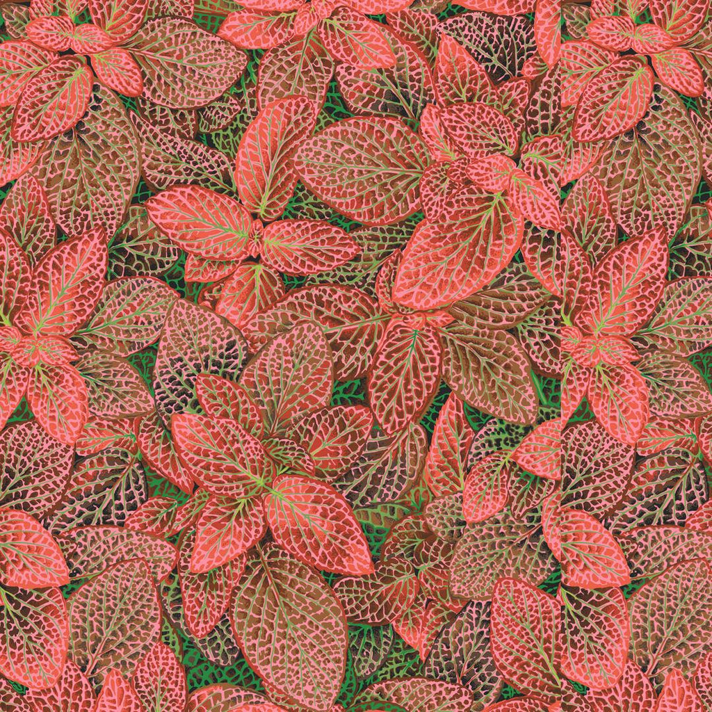 KAFFE FASSETT COLLECTIVE - AUGUST 2024 - Fittonia, Red