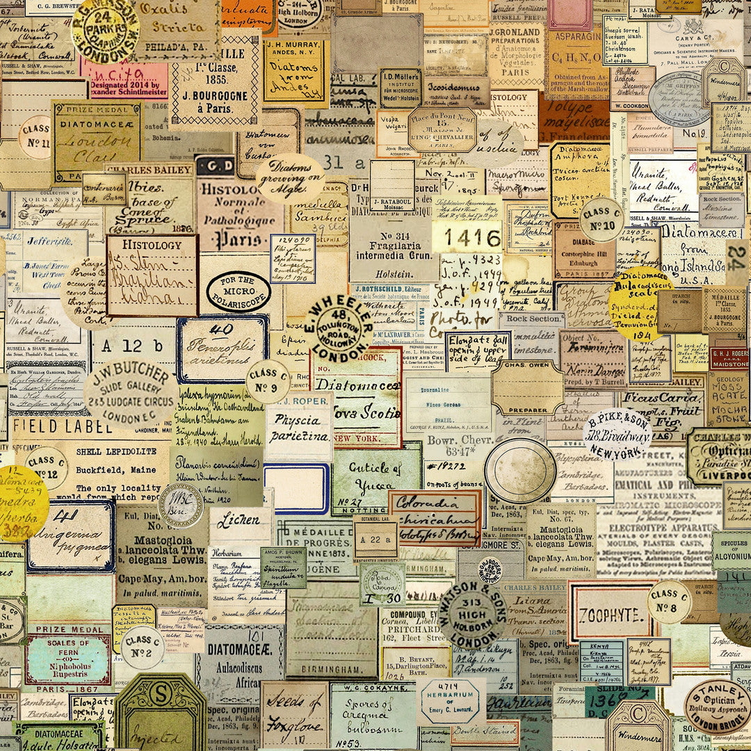 TIM HOLTZ - LABORATORY - Curator, Multi 