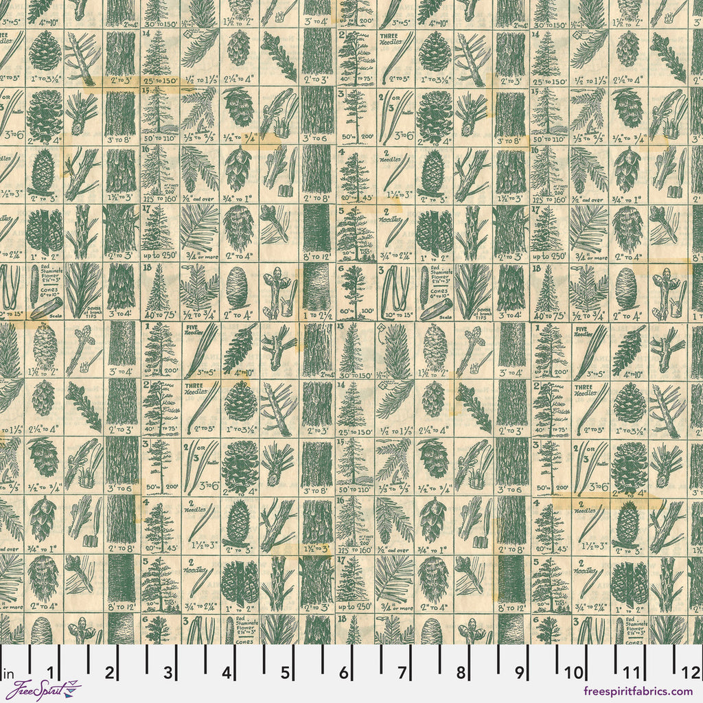 TIM HOLTZ - HOLIDAY PAST - Pine Chart, Green