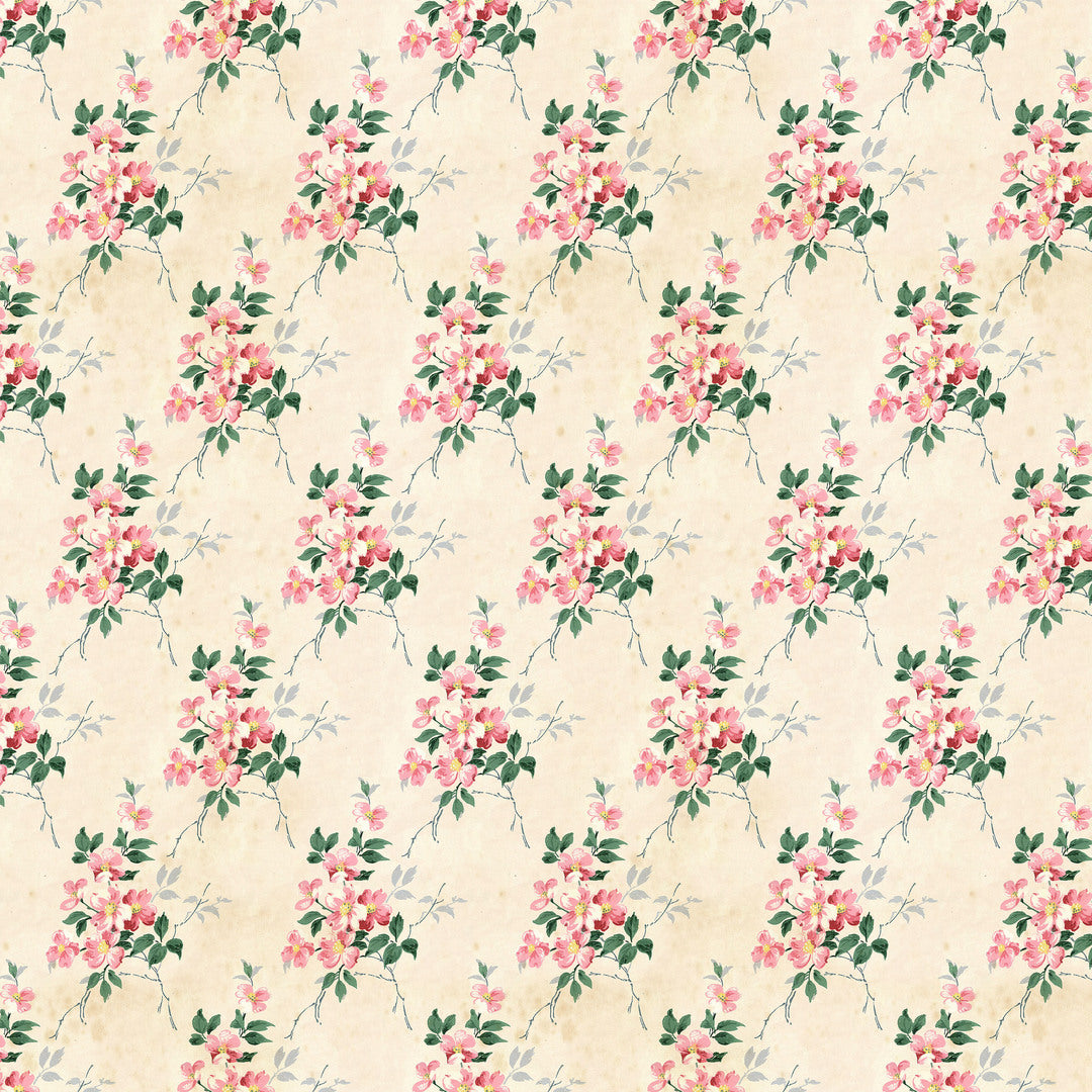 TIM HOLTZ - Palette Pink - Pink, Wallpaper 