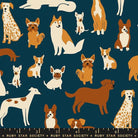 RUBY STAR SOCIETY - SARAH WATTS - DOG PARK, TEAL NAVY