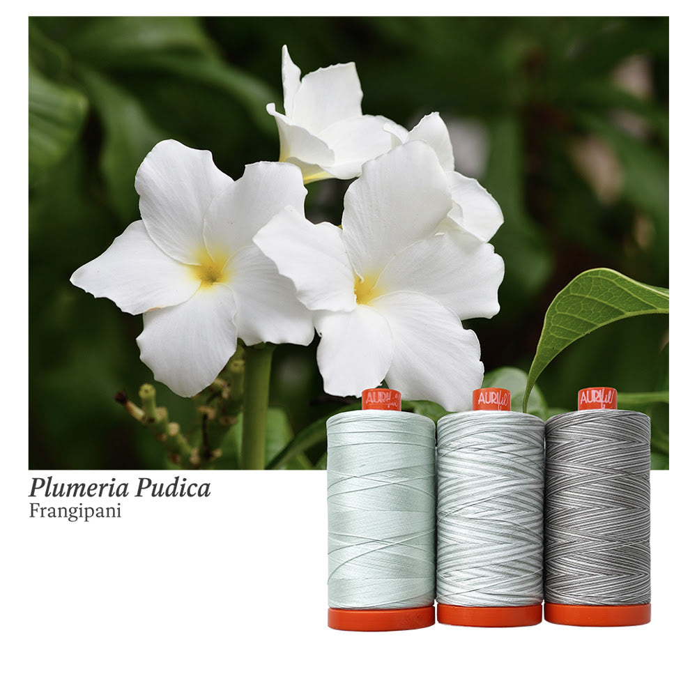AURIFIL - Thread Color Builder 2022:  January, Frangipani - Artistic Quilts with Color
