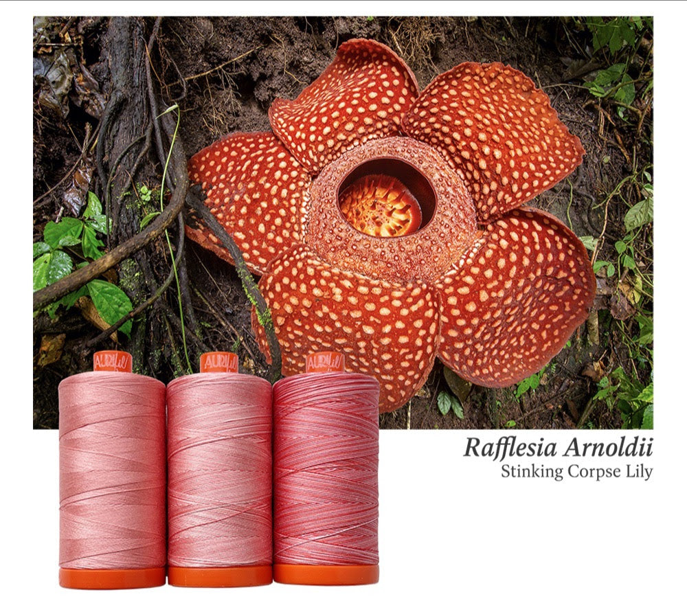 AURIFIL - Thread Color Builder 2022:  FEBRUARY Stinking Corpse Lily - Artistic Quilts with Color