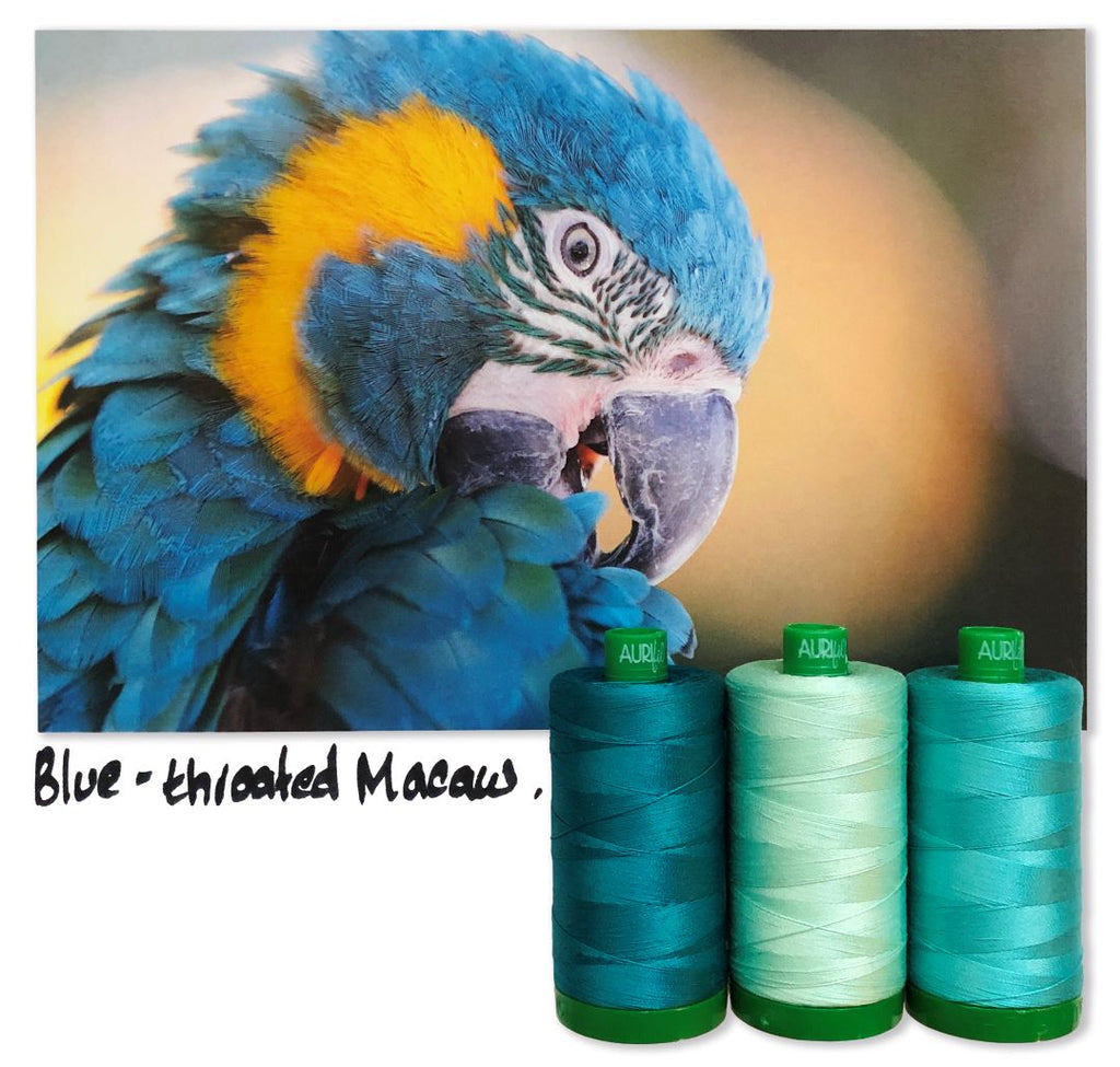 AURIFIL - Thread Color Builder 2021: August - Blue-Throated Macaw - Artistic Quilts with Color