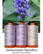 AURIFIL - Thread Color Builder 2022: OCTOBER, Hawaiian Blue Ginger