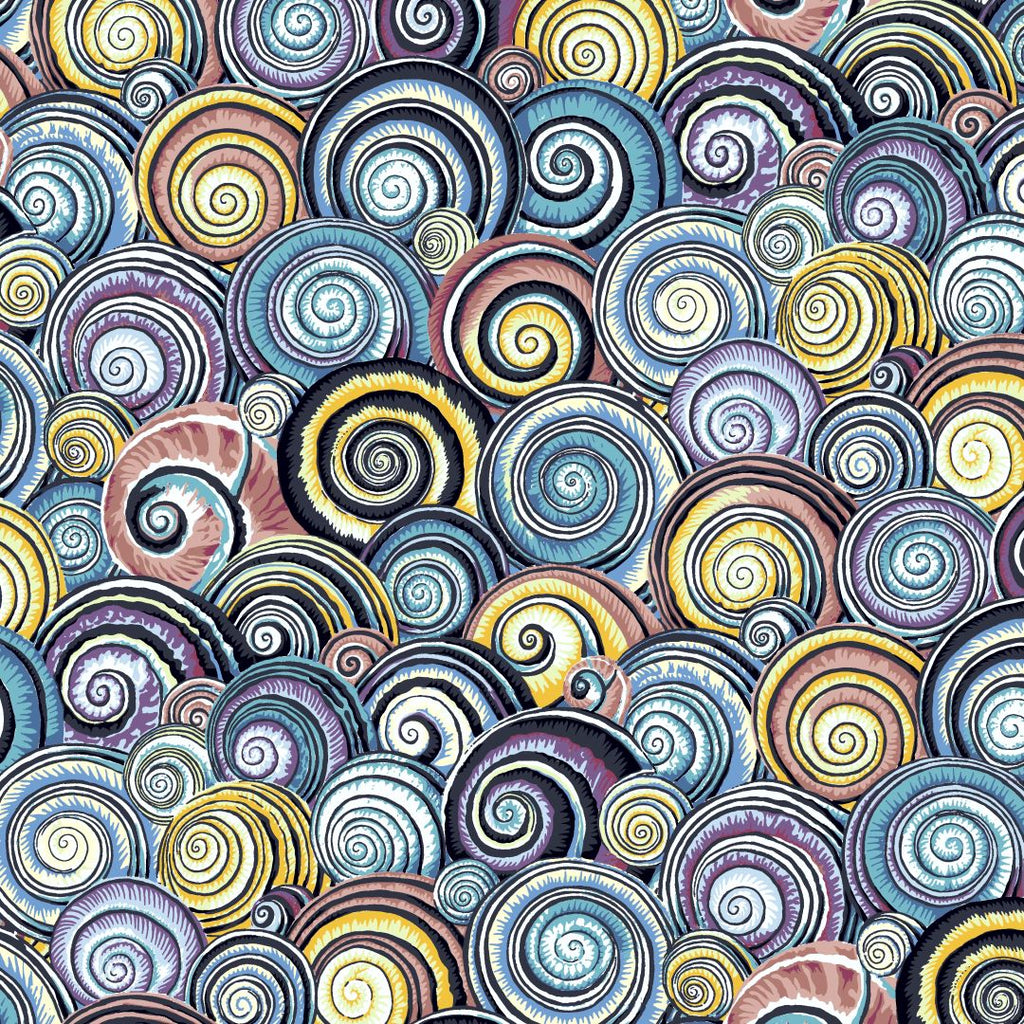 KAFFE FASSETT - KFC FEBRUARY 2022 - Spiral Shells, Contrast - Artistic Quilts with Color