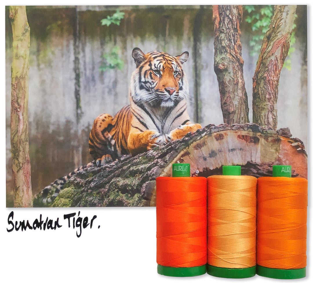 AURIFIL - Thread Color Builder 2021: July - Sumatran Tiger - Artistic Quilts with Color