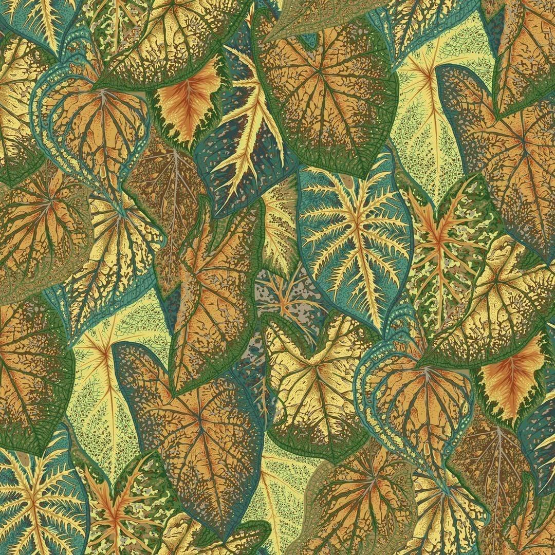 Artistic Quilts with Color Fabric Philip Jacobs for the Kaffe Fassett Collective AUGUST 2021 Caladiums - GOLD SKU# PWPJ108.GOLD SHIPPING SEPTEMBER 2021