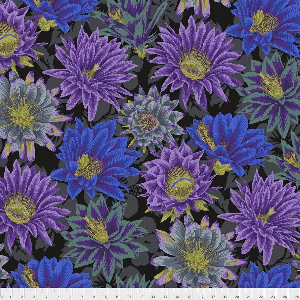 Artistic Quilts with Color Fabric Philip Jacobs for the Kaffe Fassett Collective February 2021 - Cactus Flower - BLACK SKU# PWPJ096.BLACK