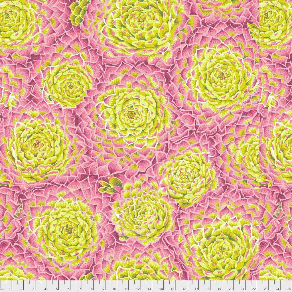 Artistic Quilts with Color Fabric Philip Jacobs for the Kaffe Fassett Collective Stash - Succulent Lime - Pink SKU# PWPJ091.LIMEX