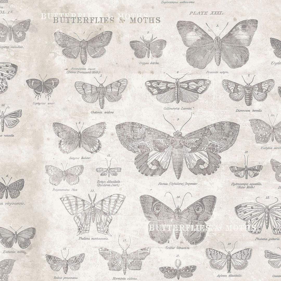 Artistic Quilts with Color Fabric Tim Holtz Eclectic Elements MONOCHROME Butterflies - Parchment SKU# PWTH004.PARCHMENT SHIPPING AUGUST 2021