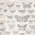 Artistic Quilts with Color Fabric Tim Holtz Eclectic Elements MONOCHROME Butterflies - Parchment SKU# PWTH004.PARCHMENT SHIPPING AUGUST 2021
