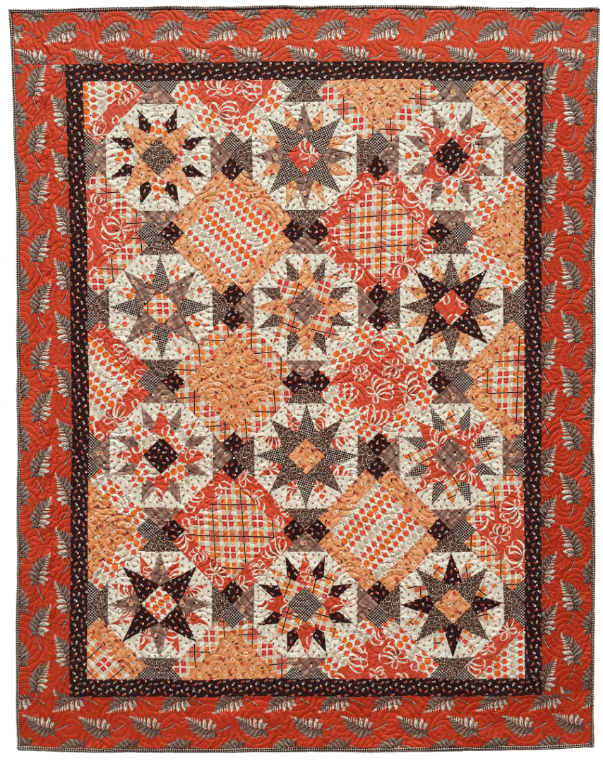 Artistic Quilts with Color FAT ROBIN 16-POINT MARINER'S COMPASS BOOK AND RULER COMBO