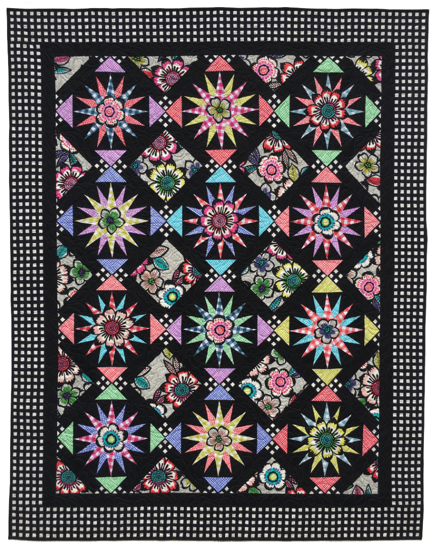 Artistic Quilts with Color SKINNY ROBIN 16-POINT MARINER'S COMPASS BOOK AND RULER COMBO