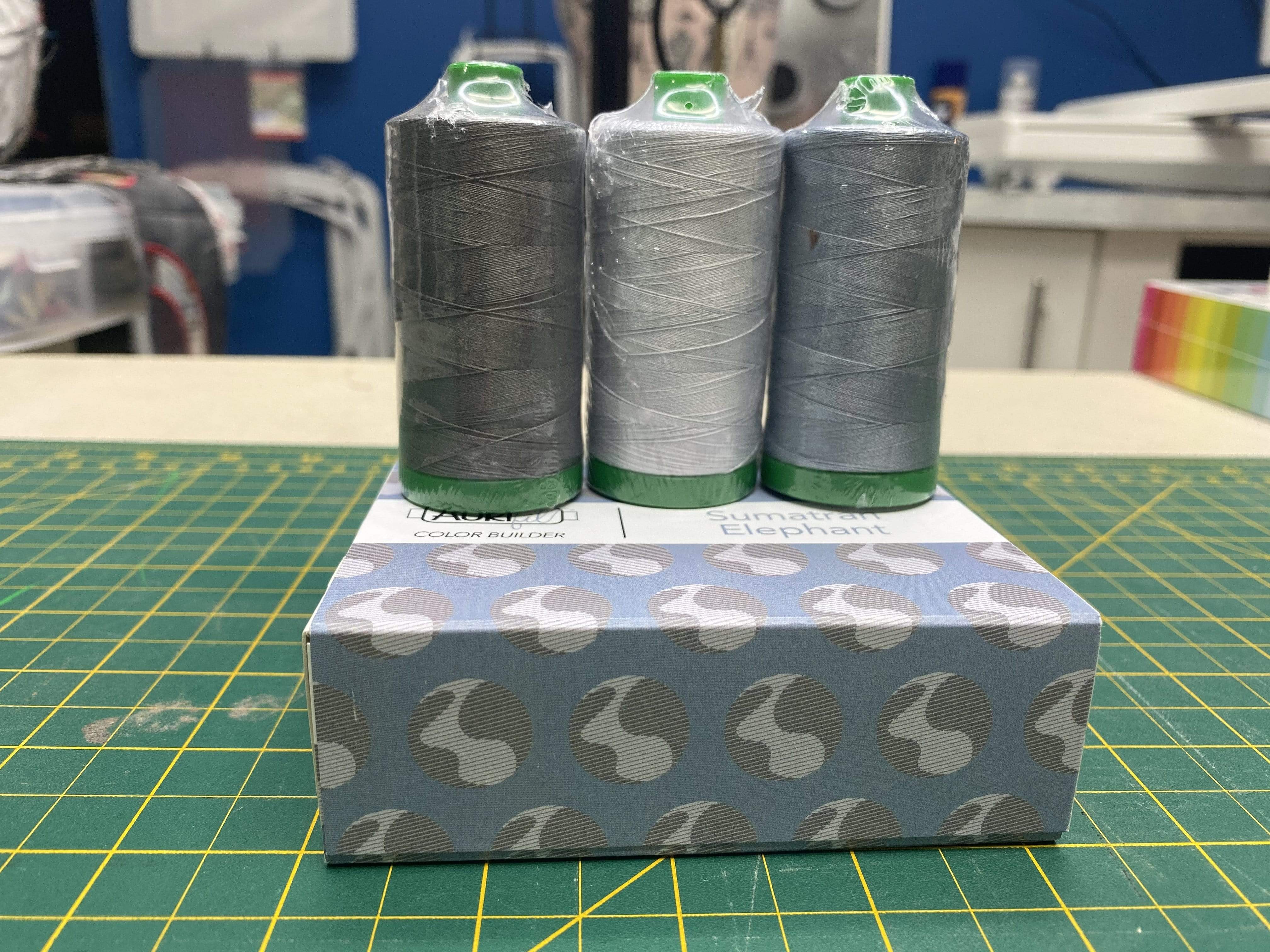 Artistic Quilts with Color Thread 2021 January  Sumatran Elephant