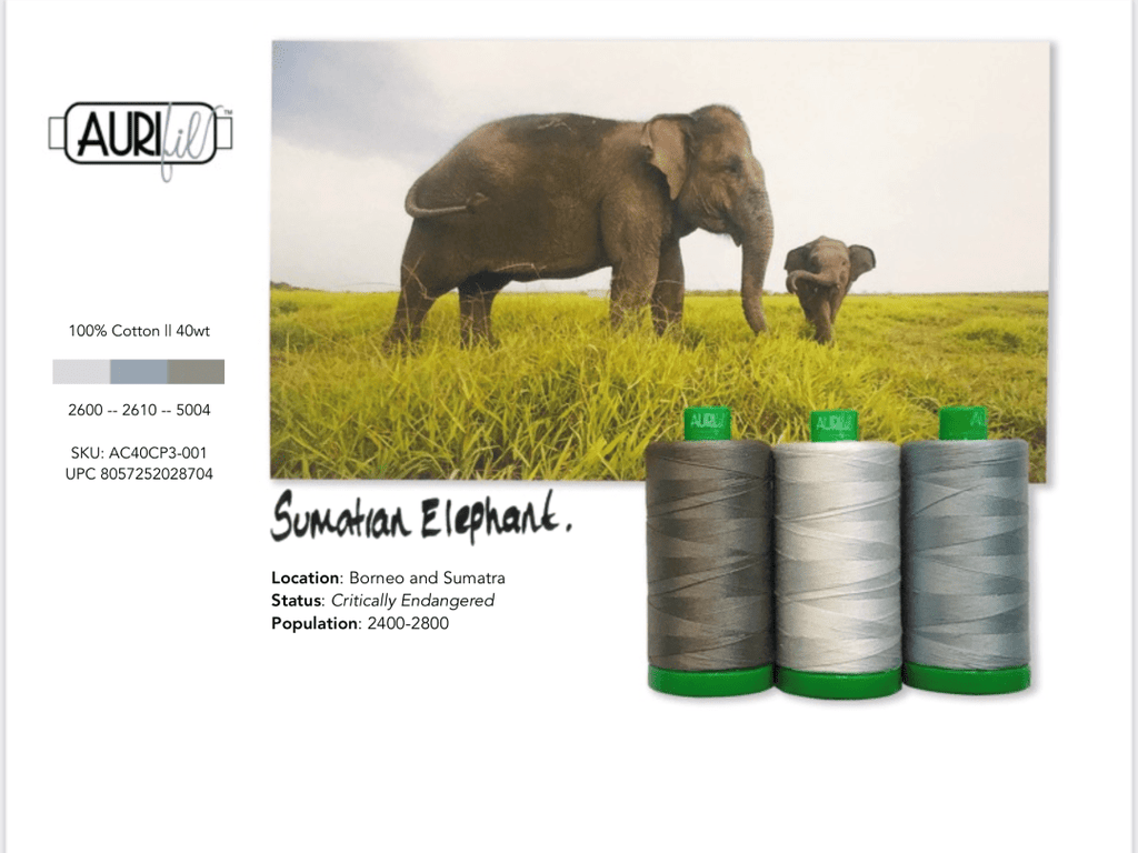Artistic Quilts with Color Thread Aurifil Thread Color Builder 2021:  January - Sumatran Elephant