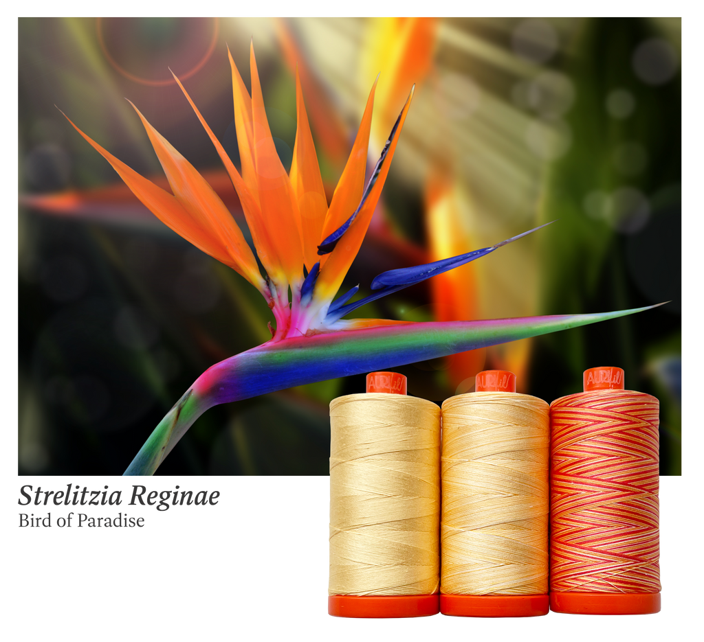 AURIFIL - Thread Color Builder 2022: July Bird of Paradise - Strelitzia reginae - Artistic Quilts with Color